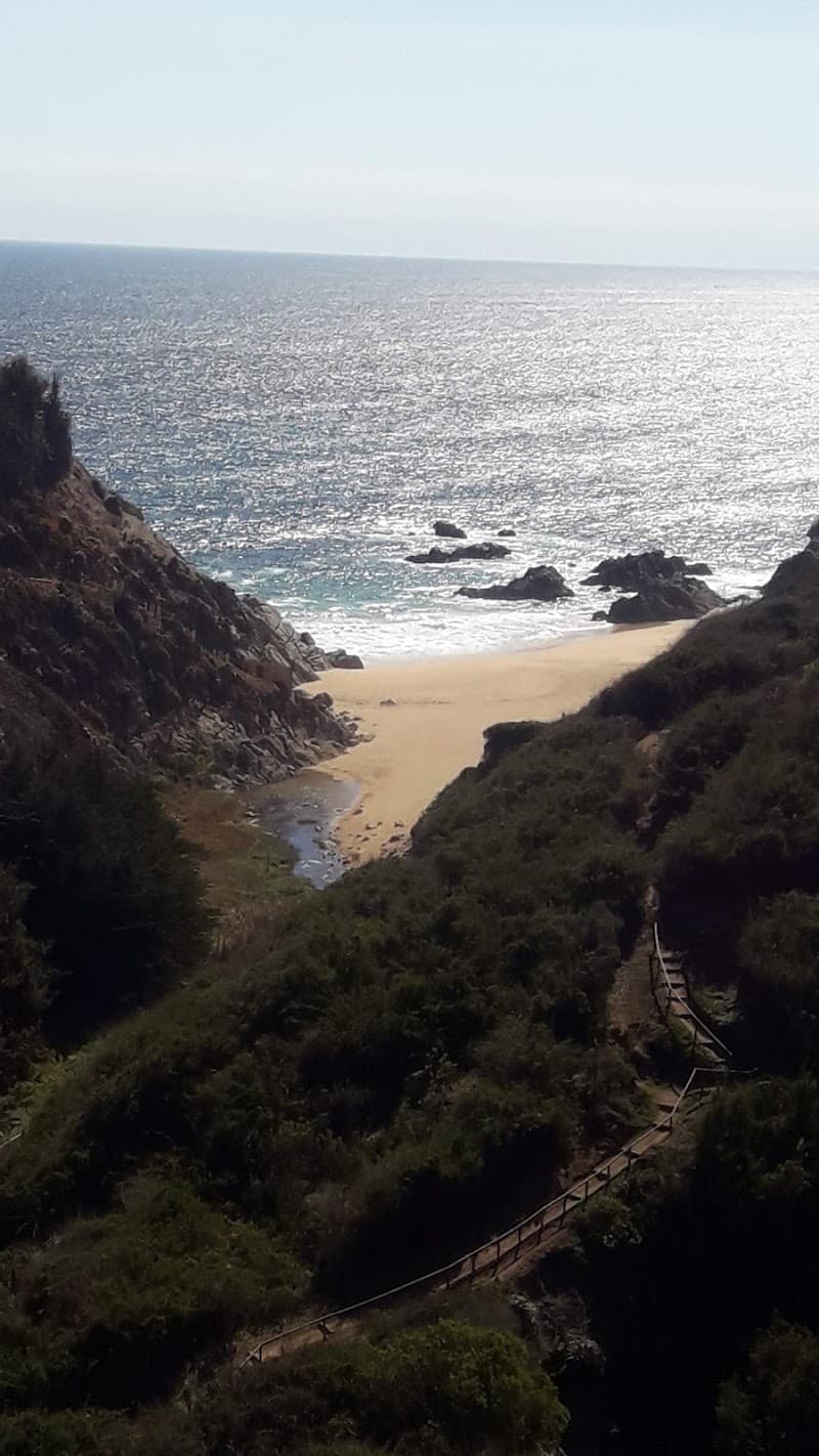 Mirame Algarrobo photo