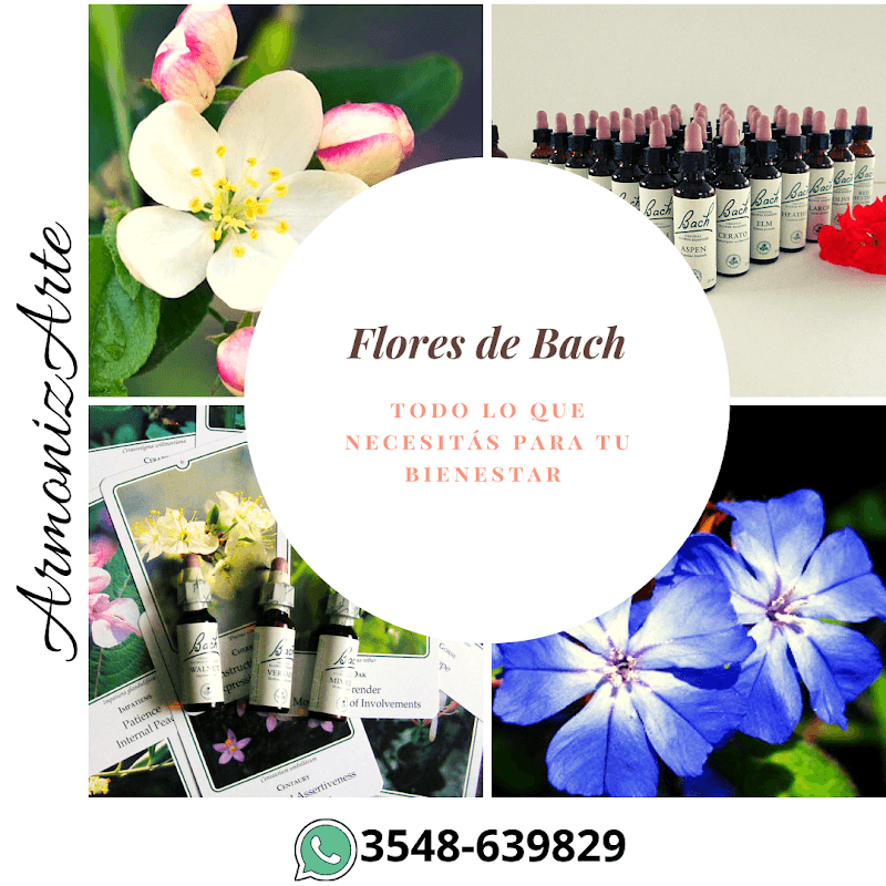 Miriam by ArmonizArte La Falda photo