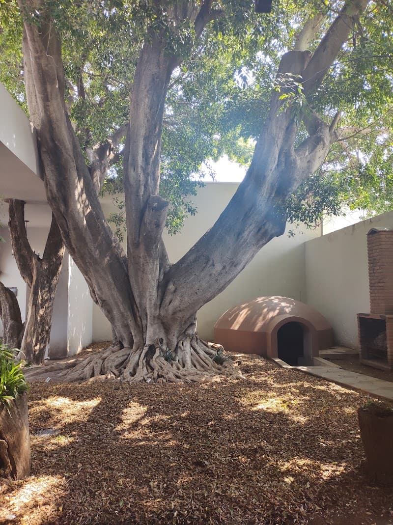 Misaya Spa San Juan del Río photo