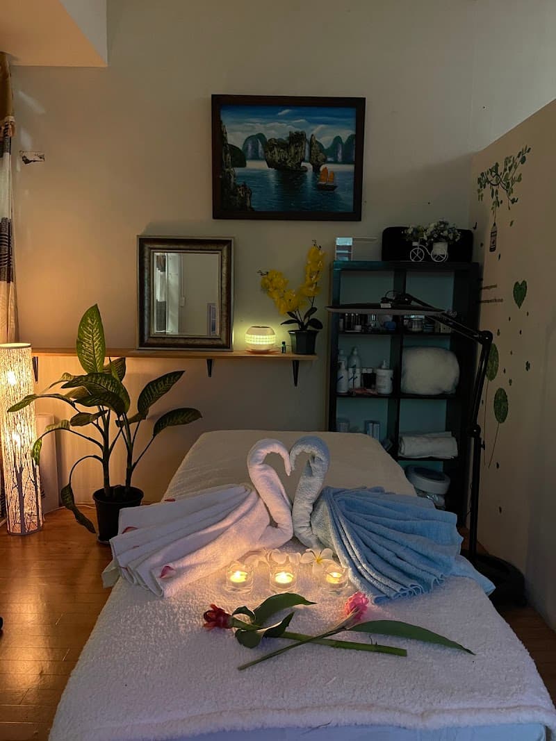 Miss saigon massage Darwin photo