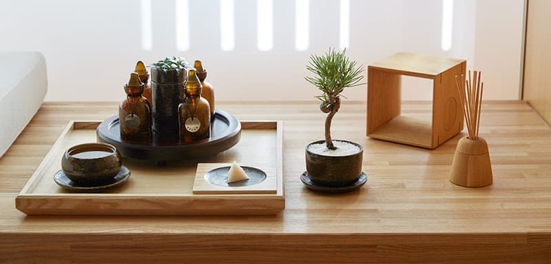 Mixology Organics Spa Niles photo