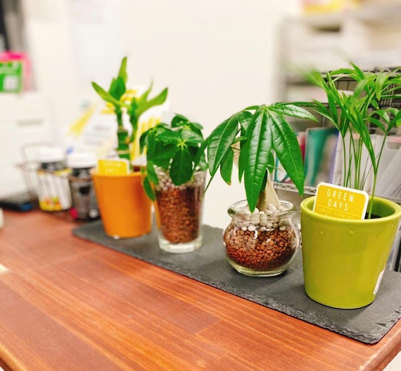 Miyabi Osteopathic Clinic Settsu Branch Settsu City photo