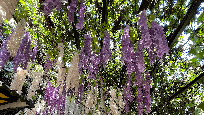 MJ Spa New Taipei City photo