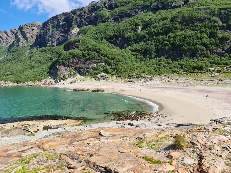 Mjellestranda Nordland photo