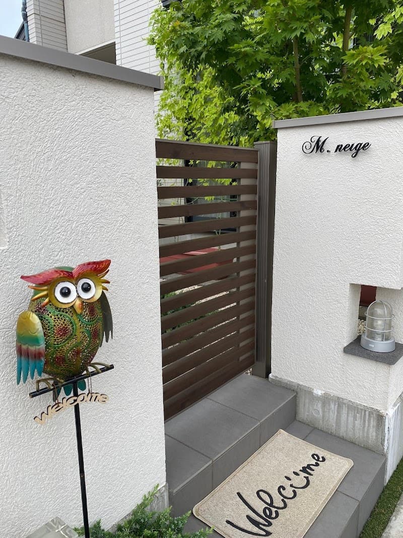 Mneige Fuji City photo