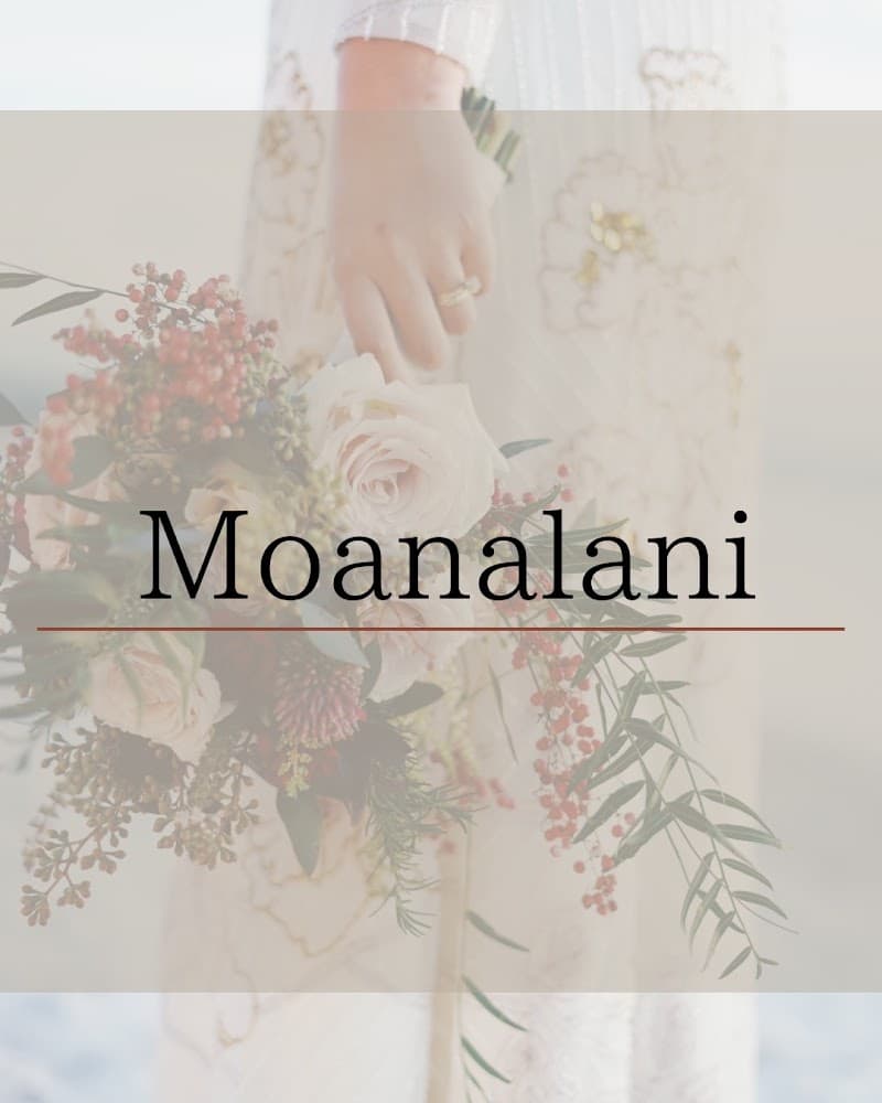 Moana Lani Aroma and Spa Saitama Iwatsuki Ward photo