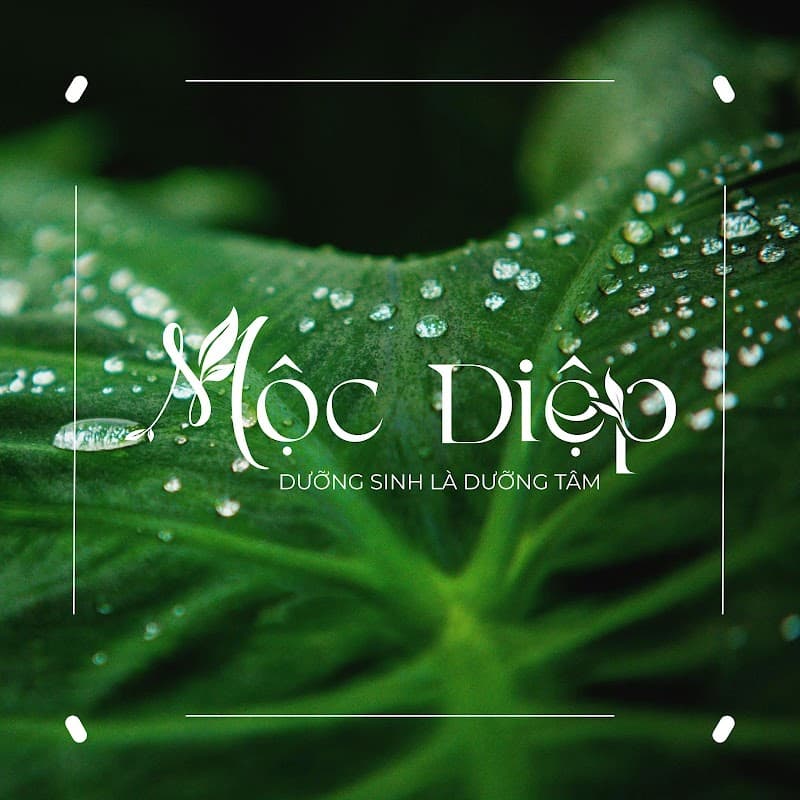 Mộc Diệp Spa Bến Tre photo