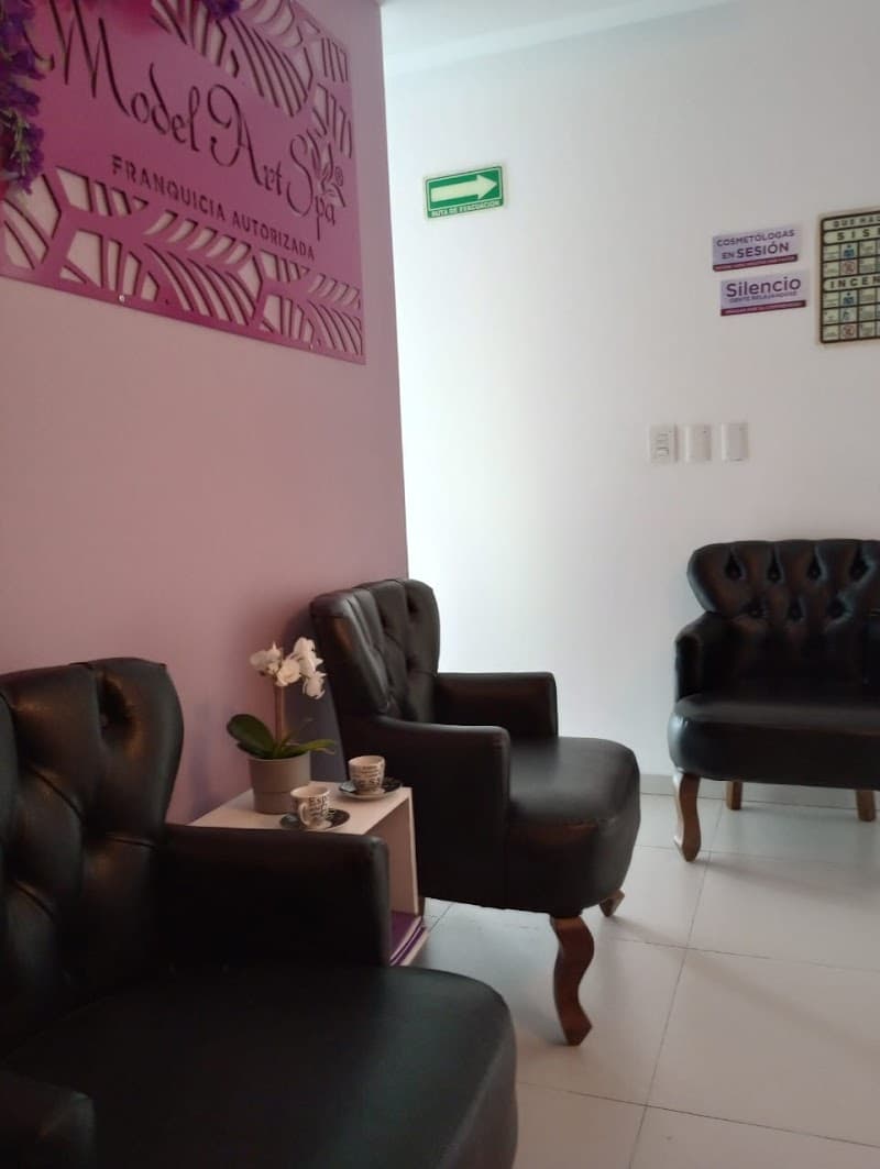 Model Art Spa Insurgentes Tlalpan photo