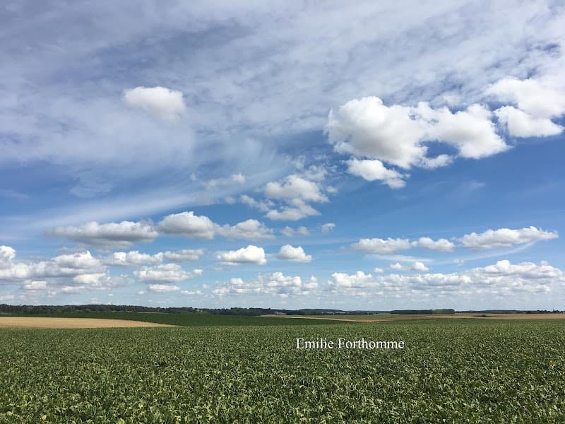 Moment Suspendu Mettet photo