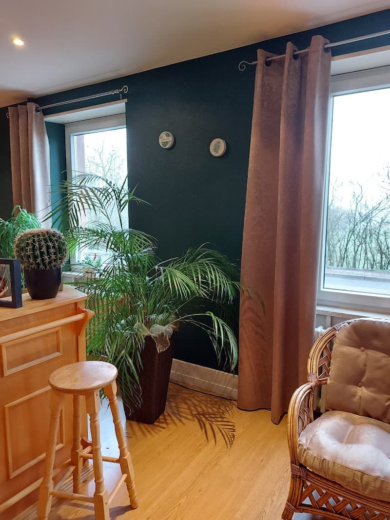 Mon Jardin de Détente Phalsbourg photo