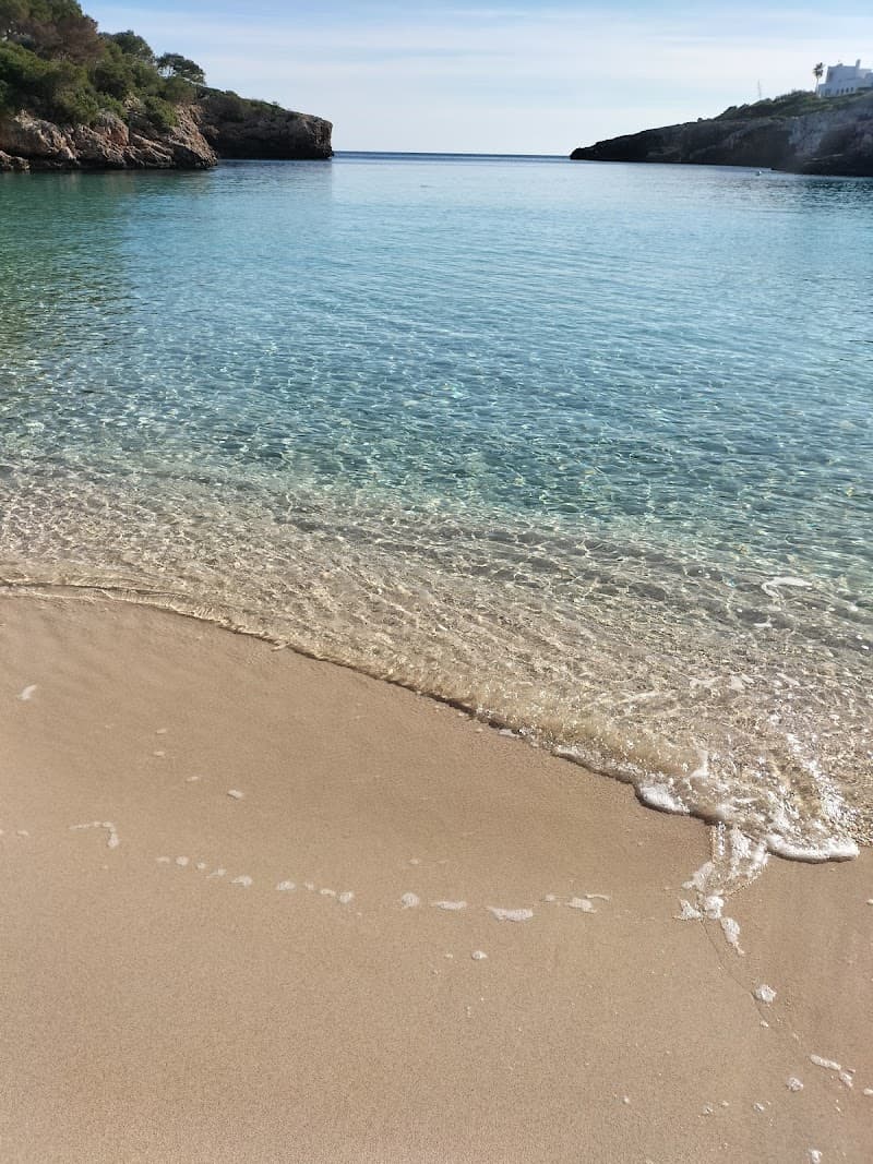 Felanitx monis.dogmassage.mallorca photo