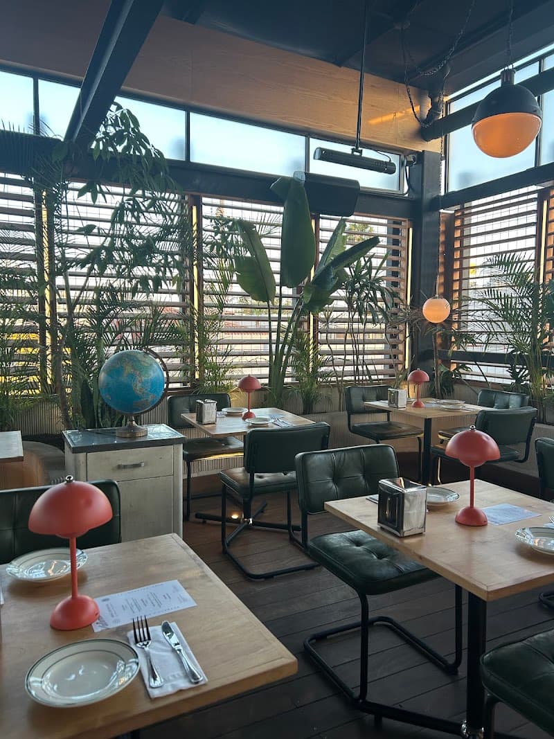 Mont Cabina Tijuana photo