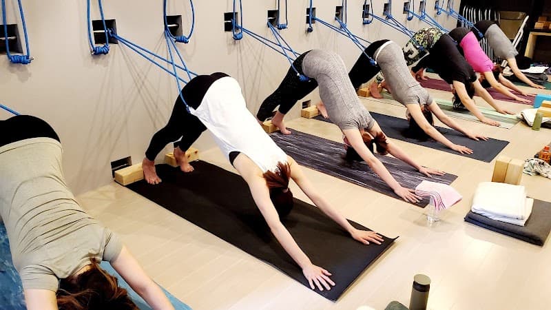 Monthly Esthe Livorte Yoga Store Setagaya Ward photo