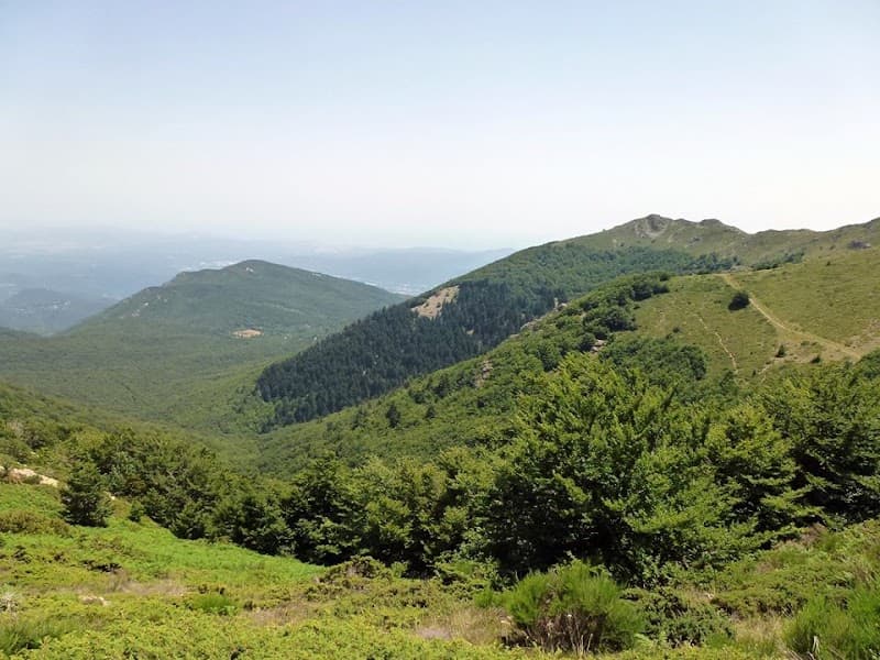 Montseny Forest Refuge Sant Pere de Vilamajor photo
