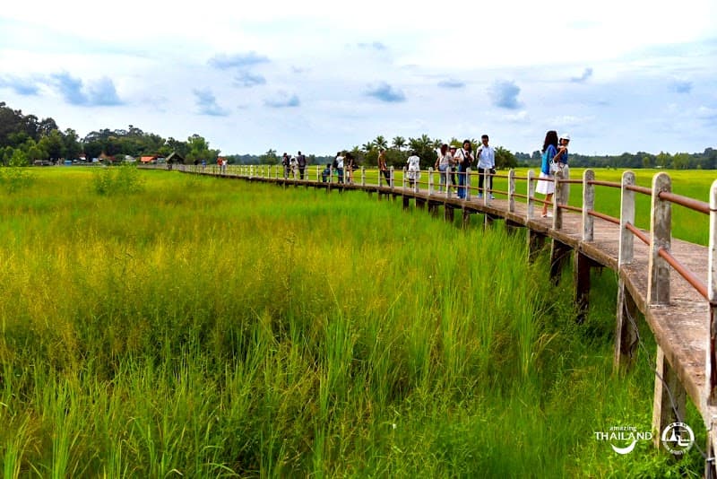 Mor Thewada Blind Khueang Nai photo