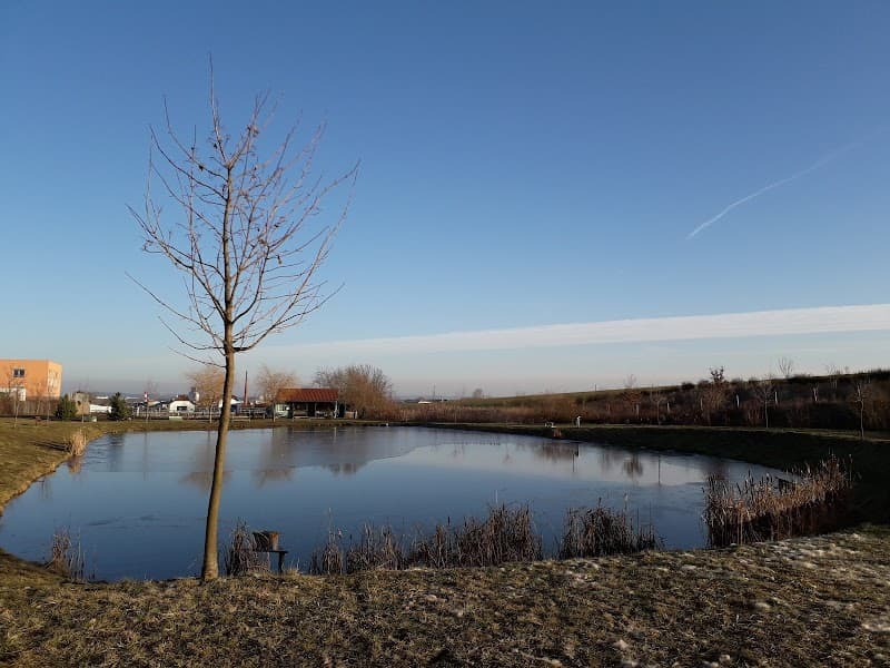 Moravanský rybnik Moravany photo