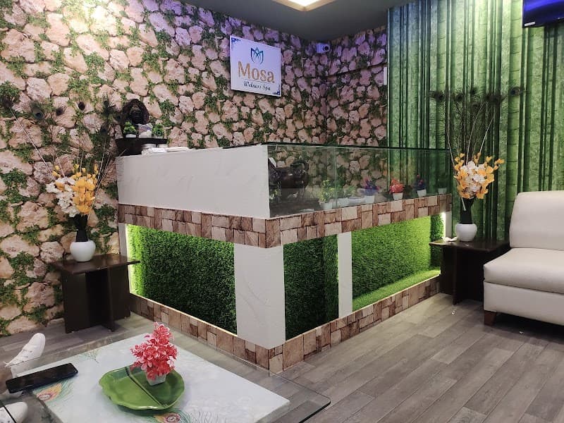 Mosa Welness Spa Indore photo
