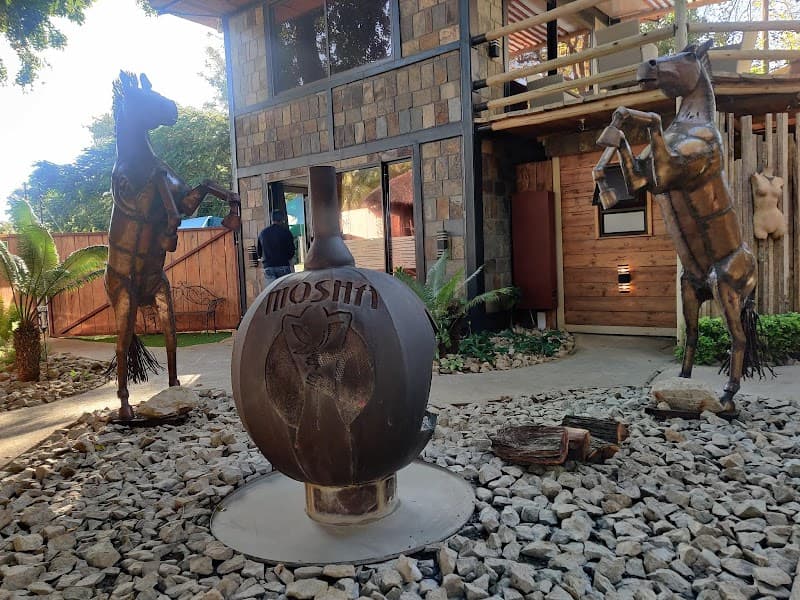 Mosha Wellness Spa Gaborone photo