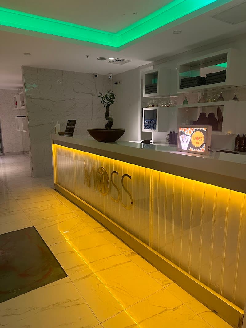 Moss Spa Istanbul photo