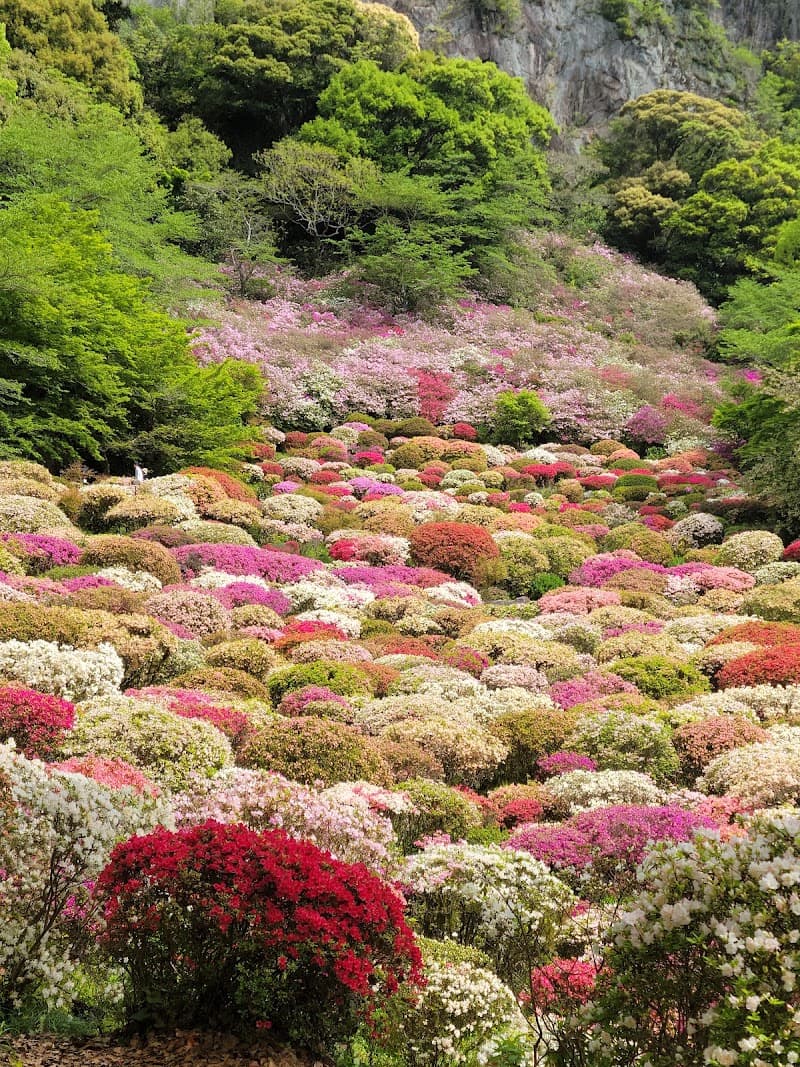 Motoyu Kumonokawa Bathhouse Saga City photo