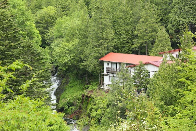 Mountain Inn Meiji Onsen Chino-shi photo