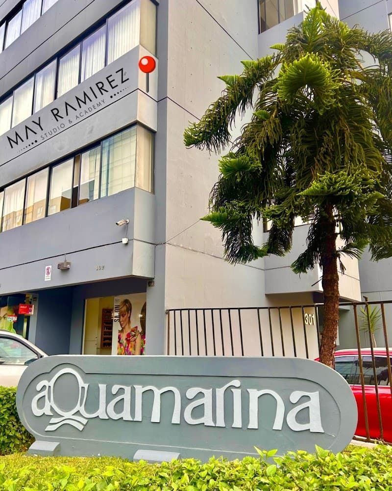 MR Dermopigmentación Rejuvenecimiento Master Trainner Miraflores photo