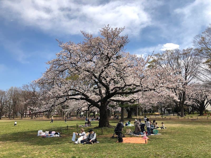 MuBye - Mubai - Musashino City photo