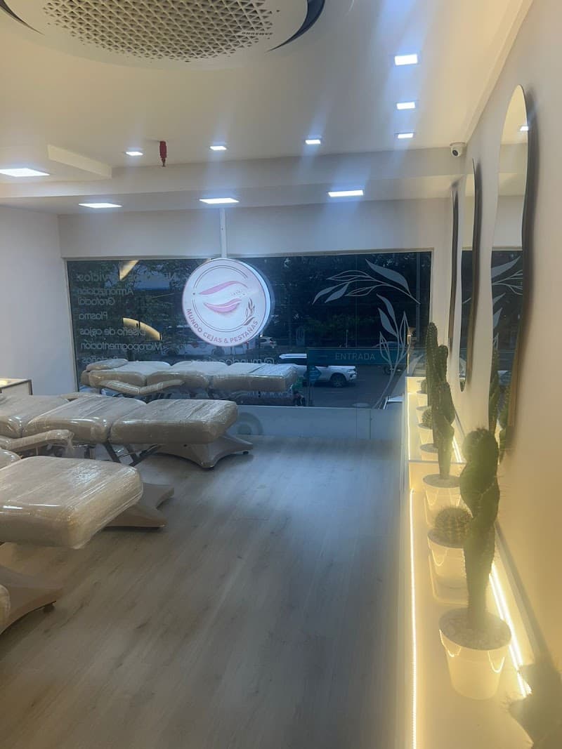 Mundo cejas y pestañas Envigado photo