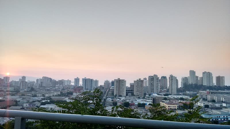 MV Homestudio S.p.A Viña del Mar photo