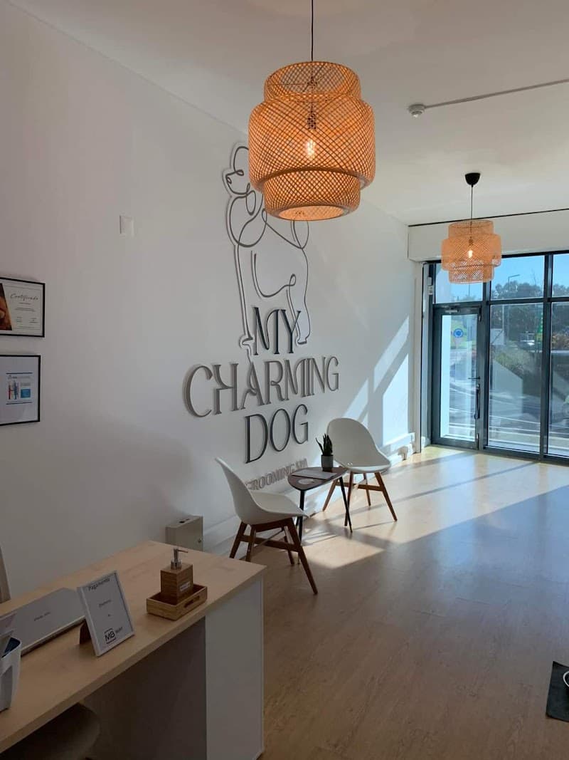 My Charmingdog Grooming SPA Oeiras photo