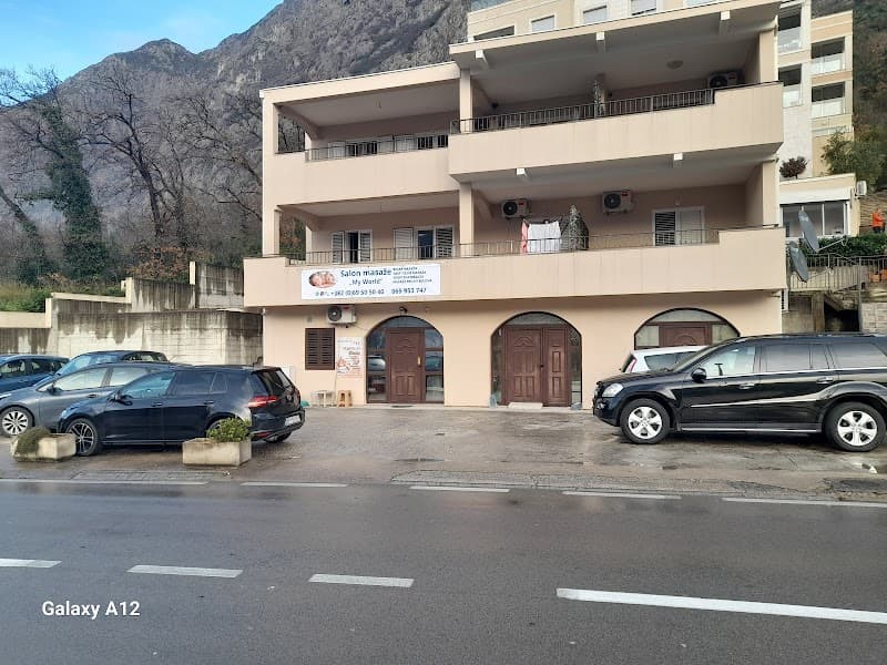 My World Chiropractic and Massage Kotor photo