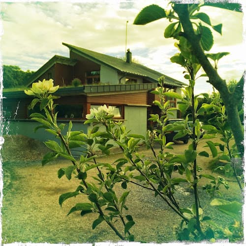 NADUIR Centre For Holistic Health H91 WTD3 Furbogh photo