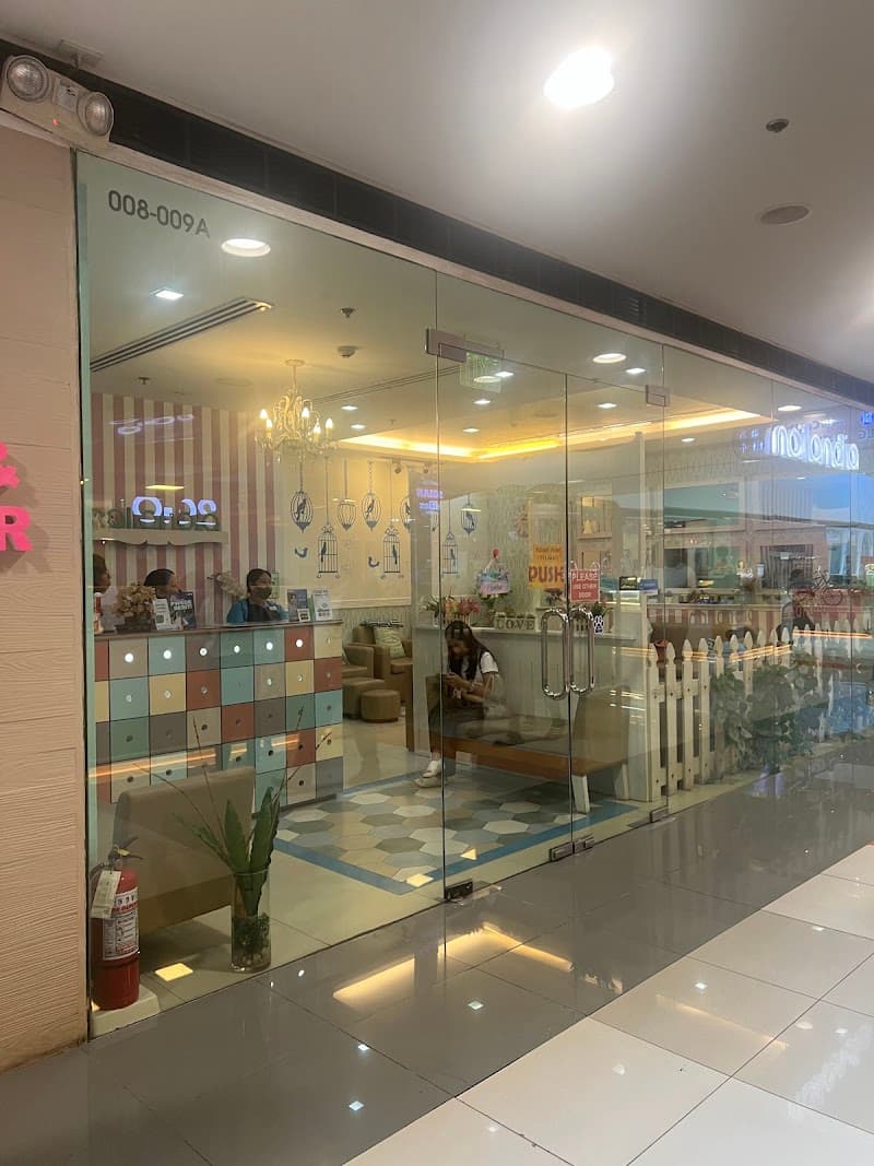 Nailandia Davao City photo