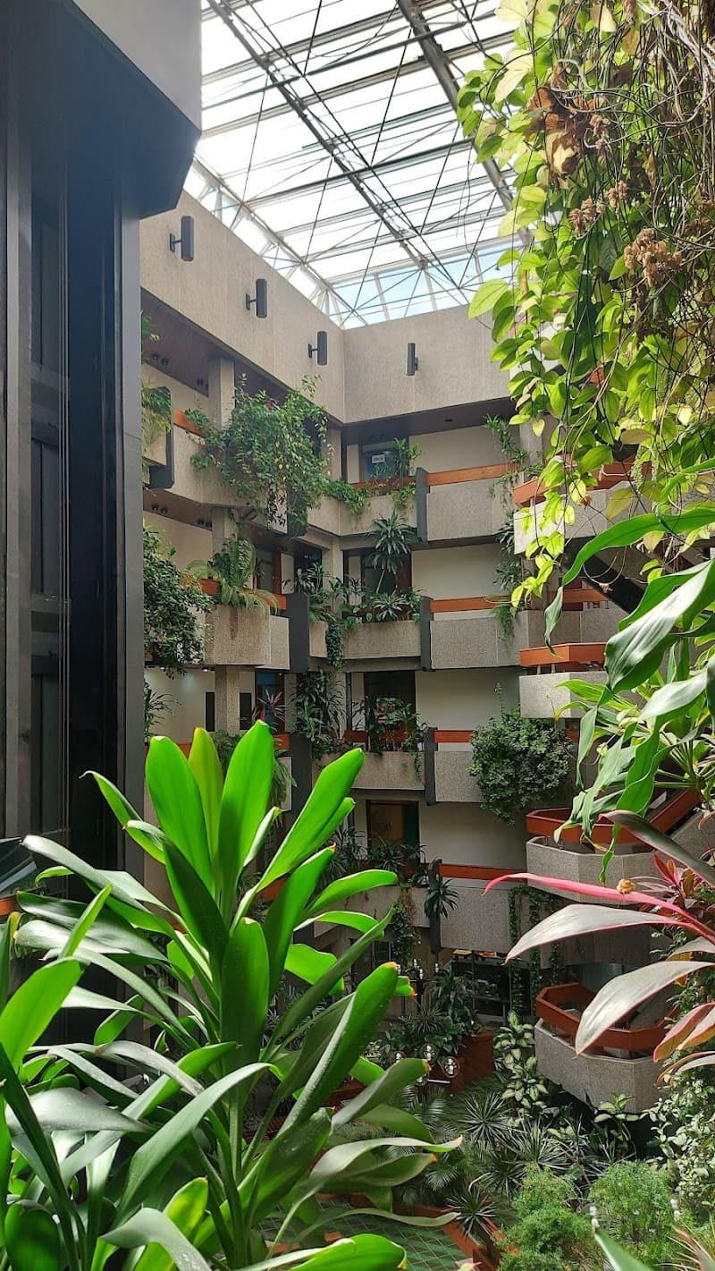 Nara Kamauka Massoterapeuta Porto Alegre photo