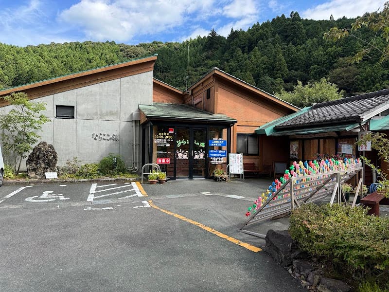 Narakoko no Yu Kakegawa City photo