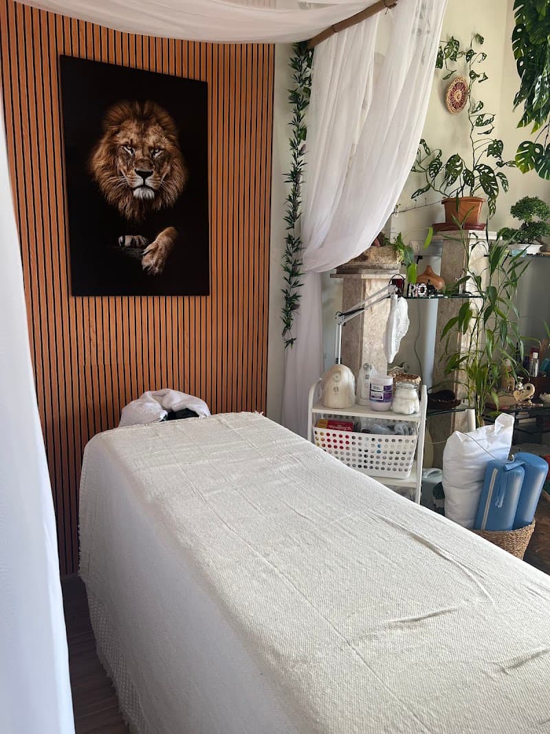 Narayan Massoterapias Rio de Janeiro photo