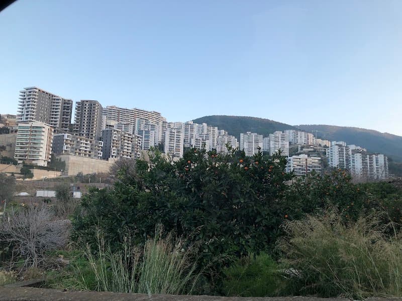 Narbel Narlıdere photo