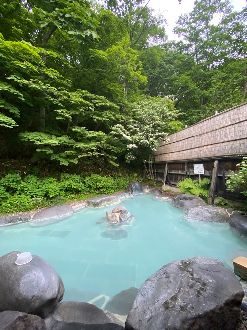 Nariyasu Onsen Ikiiki no Sato Onsen & Heated Pool Yamagata City photo
