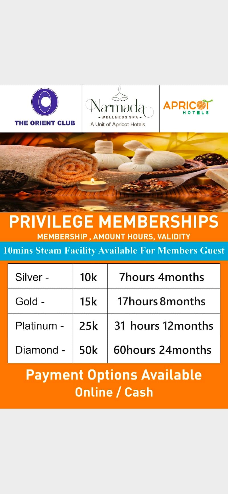 Narmada Wellness Spa Ahmedabad photo
