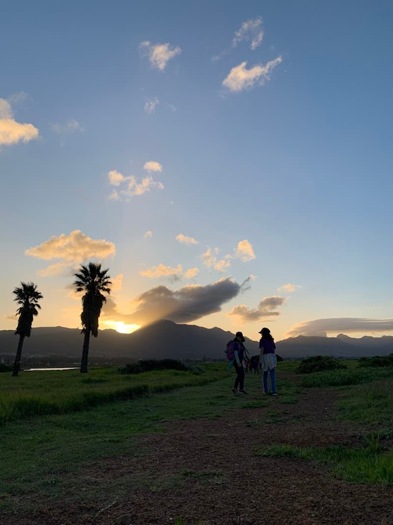 National Spa and Pool Institute Cape Town photo