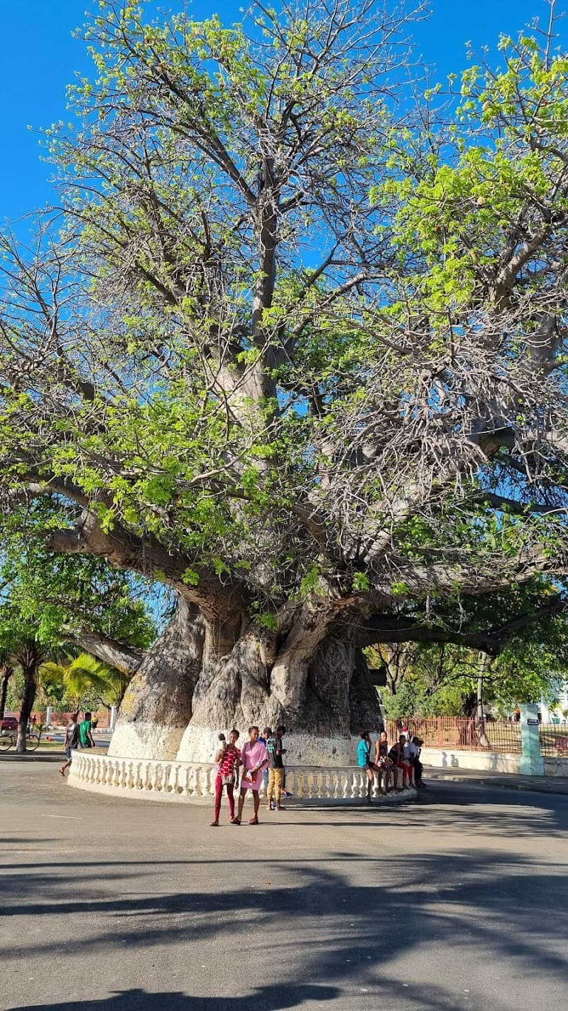Natura Majunga Mahajanga photo