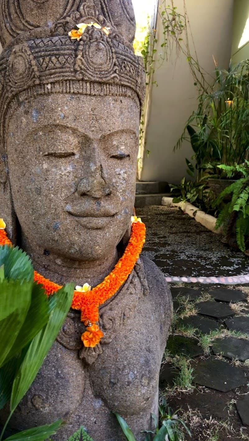 Natura Organics Spa Badung photo