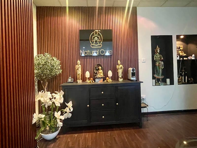 Natural Cure Spa Dubai photo