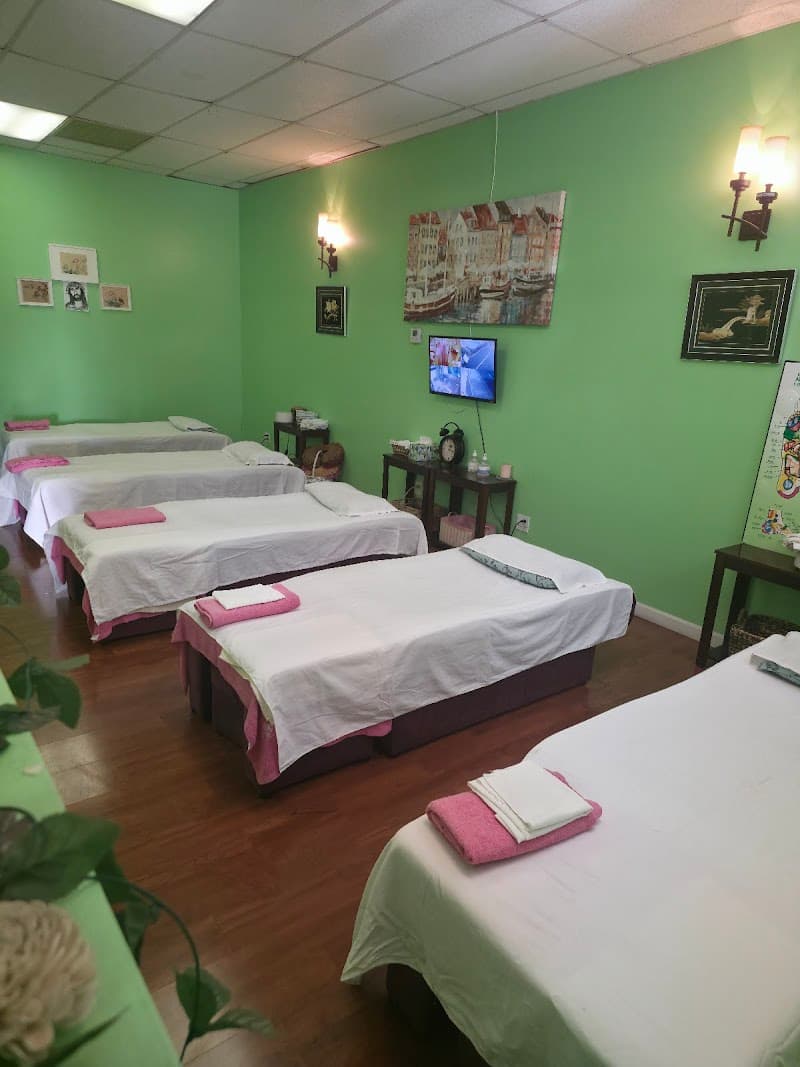 Natural Health Spa Montebello photo