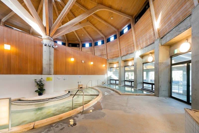 Natural Hot Spring Aratama no Yu Chuo Ward, Hamamatsu photo