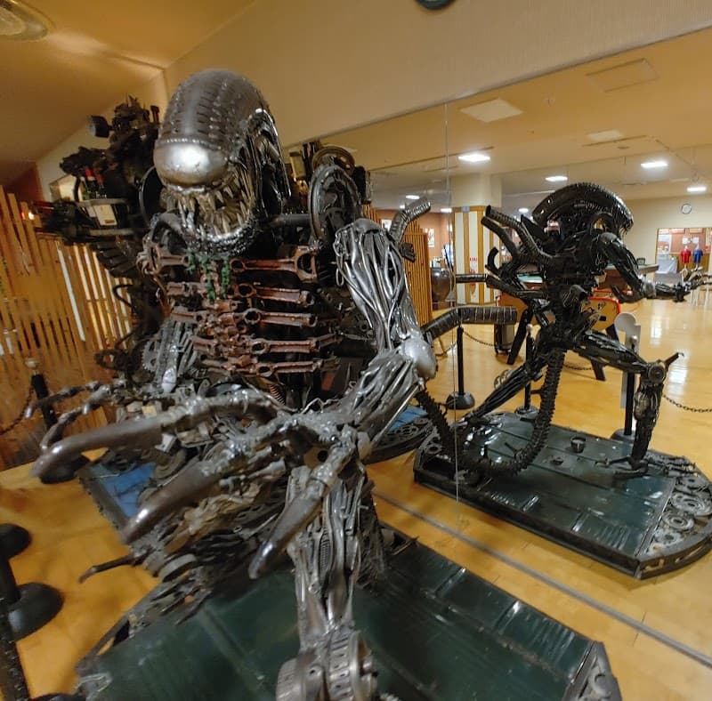 Natural Hot Spring Hana no Yu Tokai City photo