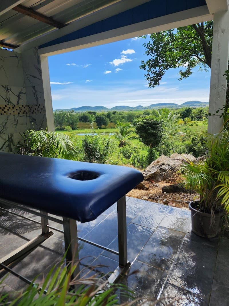 Natural Paradise Wellness Center Lajas photo