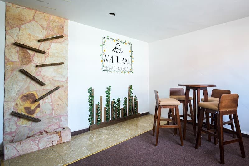 Natural Spa y Temazcal Toluca photo
