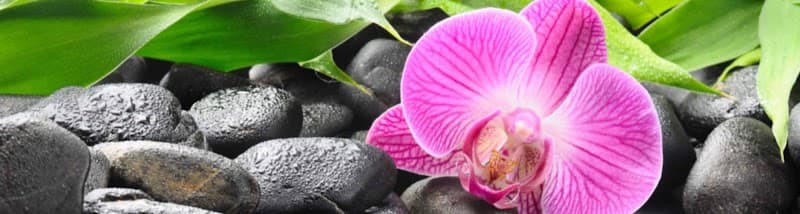 Naturally Radiant Facial Rejuvenation Wells photo