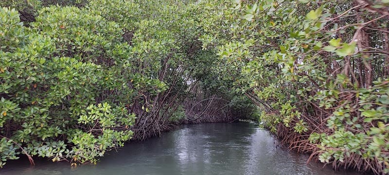 Nature Beauty Of Hosangadi. Kundapura photo